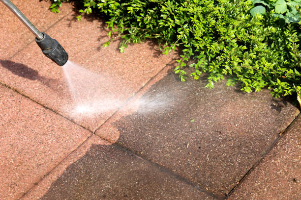 Best Residential Pressure Washing Services  in Lakesite, TN